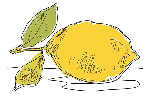 Continuous line drawing lemon doodle | Free Photo Illustration - rawpixel