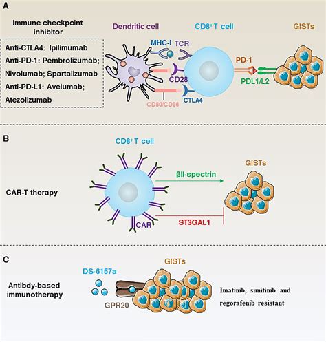 Frontiers Molecular Characteristics And Immune Microenvironment Of