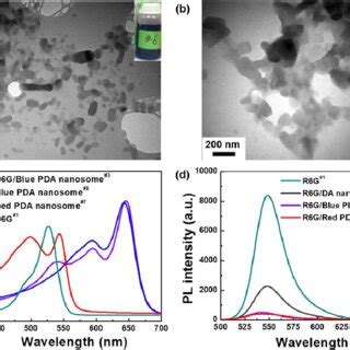 Schematic Illustration For The Preparation Of Pda Based Nanosomes And