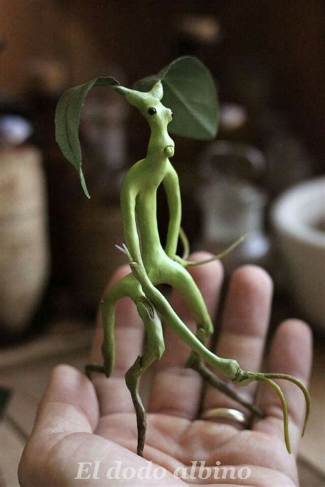 Pickett Le Botruc Bowtruckle Les Animaux Fantastiques Harry Potter