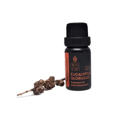 Pacific Scents Eucalyptus Globulus Essential Oil 10ml Buynatural Marketplace