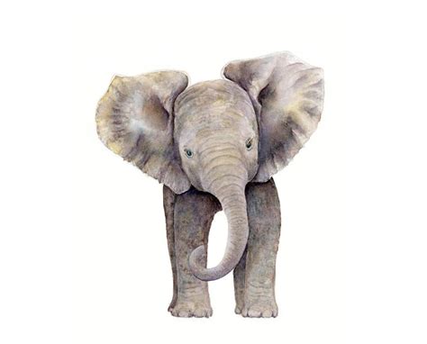 Safari Nursery Print Of Watercolor Elephant Painting Safari Nursery