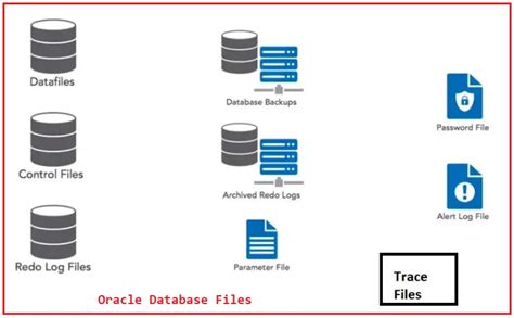 Oracle Database Files Dot Net Tutorials