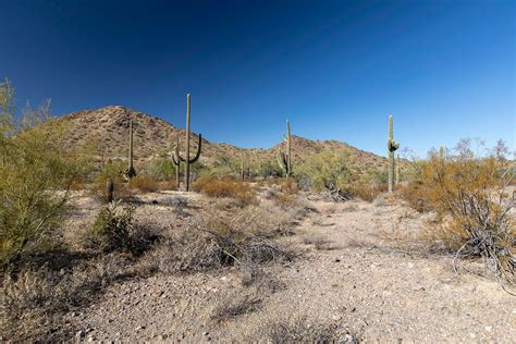 Sonoran Desert National Monument on Behance