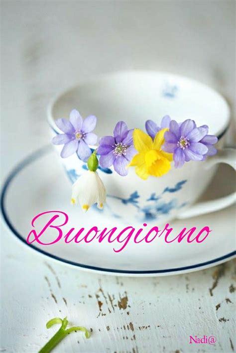 Pin Di Keli Kgb Su Good Morning Buongiorno Bom Dia Buongiorno