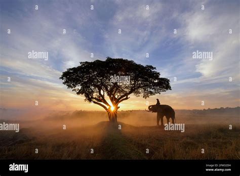 Hombres Trabajando En El Campo Fotografías E Imágenes De Alta Resolución Alamy