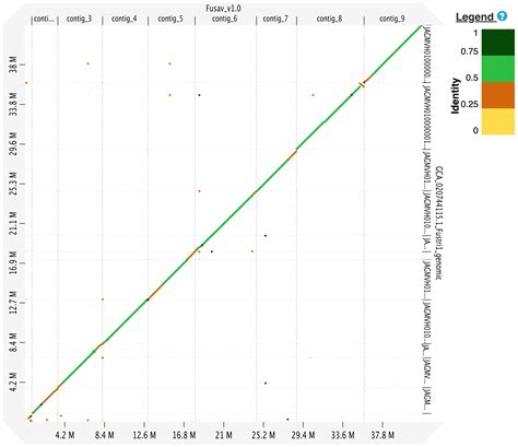 Improved Genome Assembly Resource Of The Plant Pathogen Fusarium