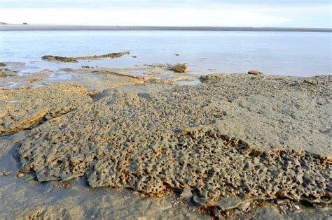 Beach Sand Rock Water Ocean Black Sand Beach Sky River Rippling Stock