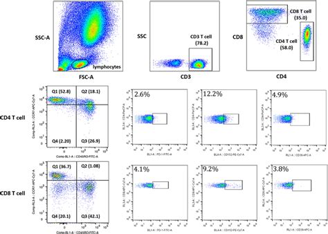 Flowchart Of Flow Cytometry Analysis To Identify The T Cell Subsets