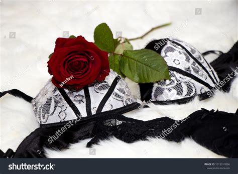 Sexy Black White Lingerie Red Rose Stock Photo 1013917066 Shutterstock