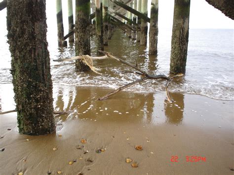 Keansburg Nj Keansburg Beach Under The Pier Photo Picture Image