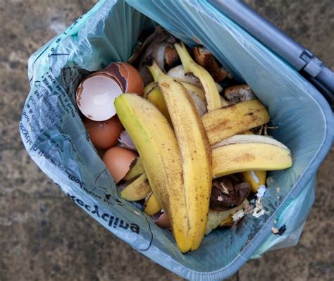 De Comida A Basura Los Impactos De Las Millones De Toneladas De