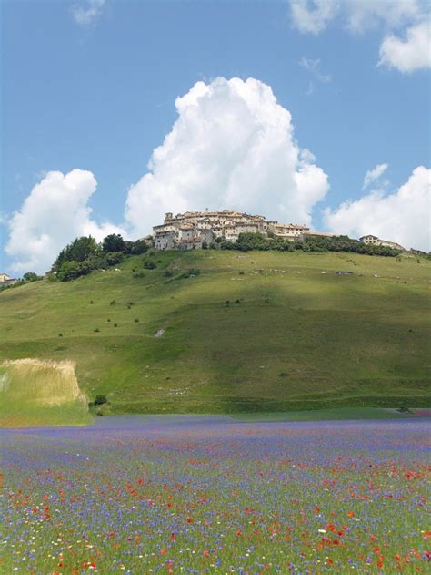 La Fiorita Di Castelluccio Di Norcia Thebinutrek Scopri Il Cuore