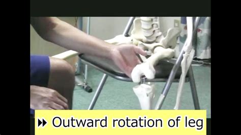 ⏩ Outward Rotation Of Leg Youtube