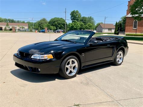 1999 Ford Mustang Cobra Showdown Auto Sales Drive Your Dream