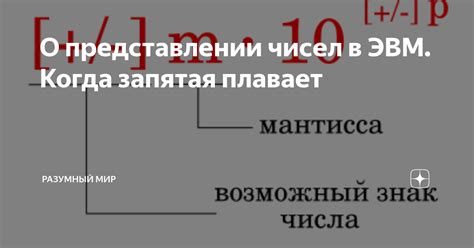 О представлении чисел в ЭВМ. Когда запятая плавает | Разумный мир | Дзен