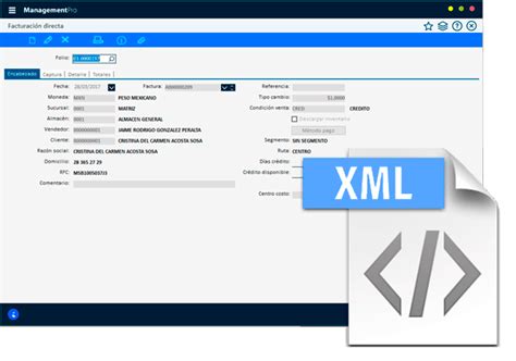 Sistema Erp Contabilidad Managementpro