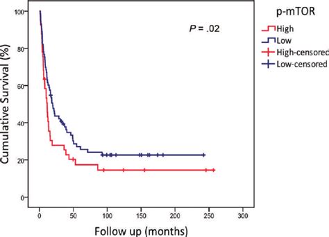 Kaplan Meier Curves For Cumulative Survival Rate Of Patients With