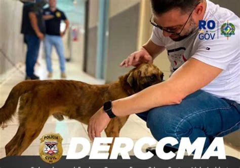 Polícia Civil de Rondônia resgata cachorro em situação de maus tratos