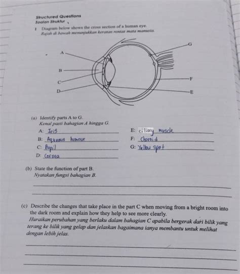 Selesai Structured Questions Soalan Struktur 1 Diagram Below Shows The