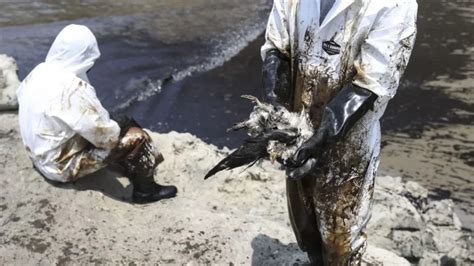 Solo Tres Playas Están Aptas Para Bañistas Donde Ocurrió El Derrame De