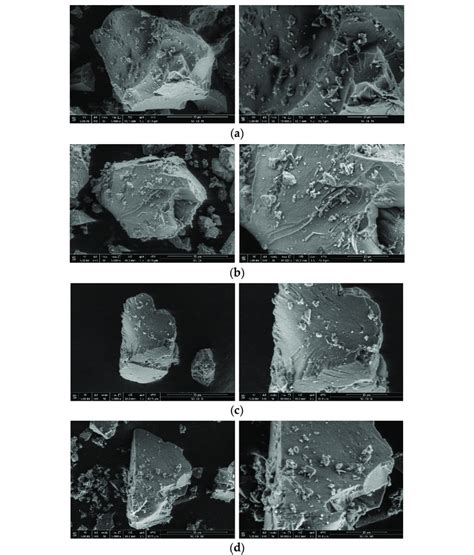 SEM Micrographs At 5000 And 10 000 Magnification Of The A Blank