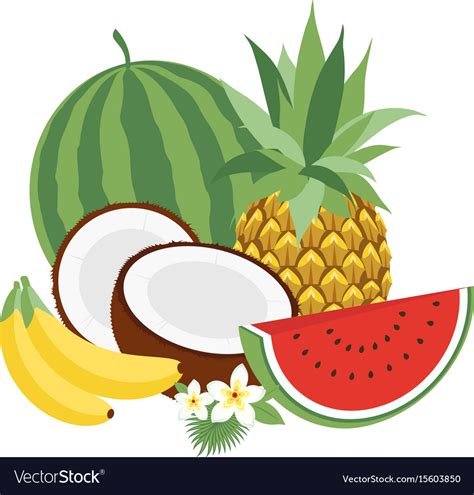 Set Of Icons Tropical Fruits Royalty Free Vector Image