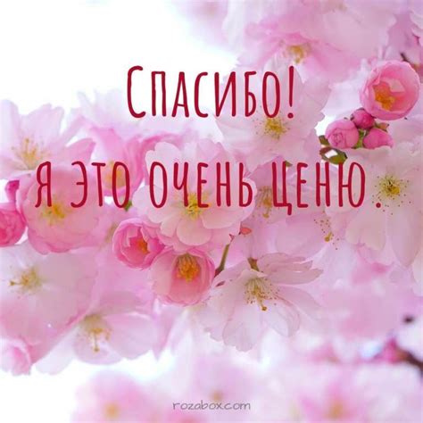 спасибо красивые открытки | Благодарность, Благодарные цитаты ...