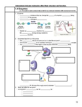 Enzymes Guided Notes By Mr Waggoner Chemistry Biology Ngss Tpt