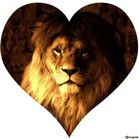 Heart Lion Backgrounds - Wallpaper Cave