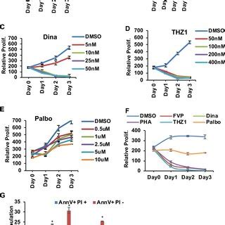 AML Containing The T 8 21 Are Extremely Sensitive To CDK Inhibitors