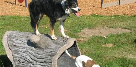 Dog Park Equipment - General Recreation Inc