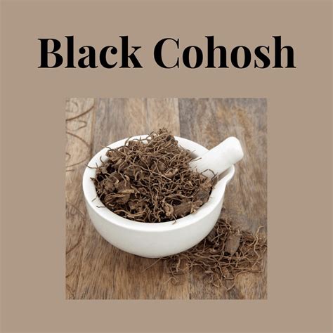 Black Cohosh : Overview, Uses, Side Effects, Precautions - illness.com