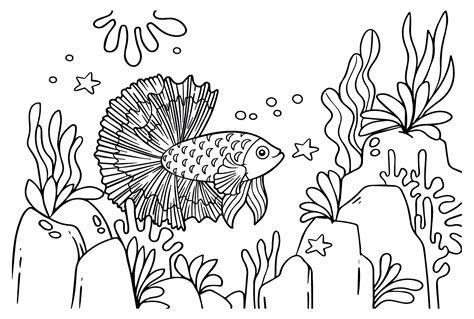 Betta Fish Images Coloring Pages Betta Fish Coloring Pages P Ginas