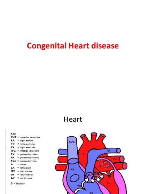 Congenital Heart Disease | PDF