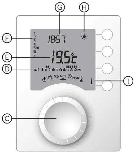 Delta Dore Tybox Programmable Thermostat User Guide