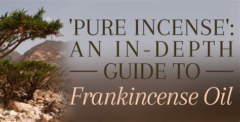 Benefits Of Frankincense Oil And How To Use Frankincense Essential Oil