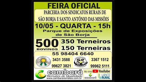 Feira Do Terneiro E Terneira Dia Sao Borja Rs Youtube