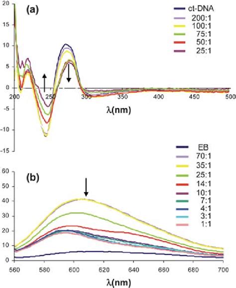 A CD Spectra Of The Titration Of Ct DNA 150 MM With Cy 2 Ru 4