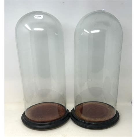 A Pair Of Glass Domes On Ebonised Bases 50 Cm High 2