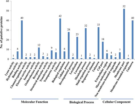 Go Classification Histogram Of Wbph Putative Proteins That