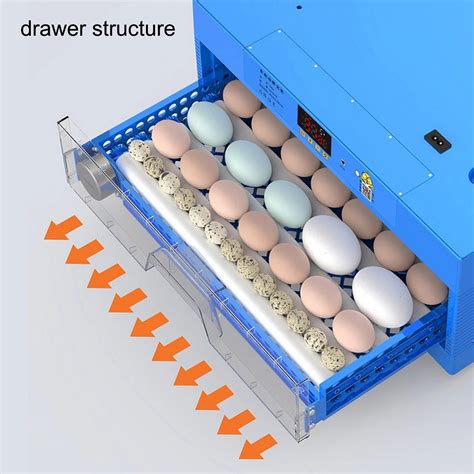 Electric Automatic Hatching Eggs V Egg Incubators China Egg