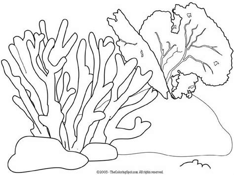 Great Barrier Reef Coloring Pages Coloring Home