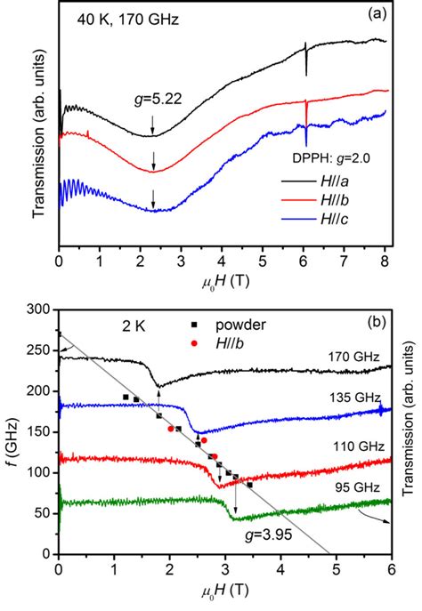 A ESR Spectra Of Single Crystal Measured At 170 GHz And 40 K The