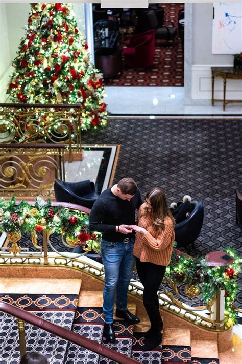 Lotte Palace Christmas Tree Proposal Vladleto