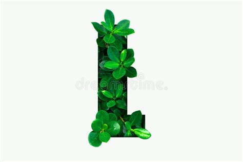 Nature Concept Alphabet Of Green Leaves In Alphabet Letter L Stock