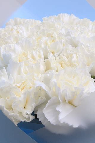 Букети квітів - floriya.shop