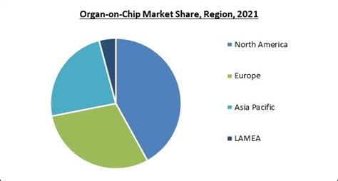 Global Organ On Chip Market Size Share And Industry Trends Analysis