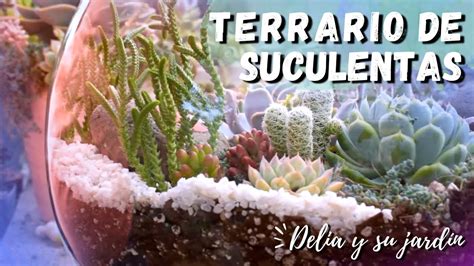 C Mo Hacer Un Terrario Suculento Hermosas Suculentas De Mi Jard N