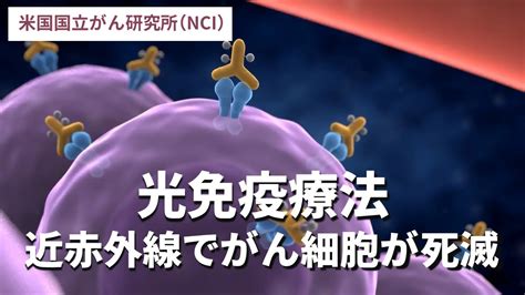 光免疫療法：近赤外線で がん細胞が死滅／米国国立がん研究所（nci） Youtube